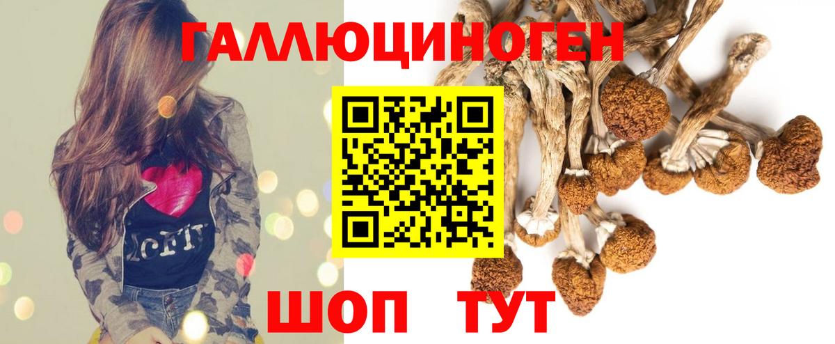 Заволжье  Псилоцибиновые грибы Psilocybine cubensis  Вход с VPN  купить закладку  Галлюциногенные грибы GOLDEN TEACHER 